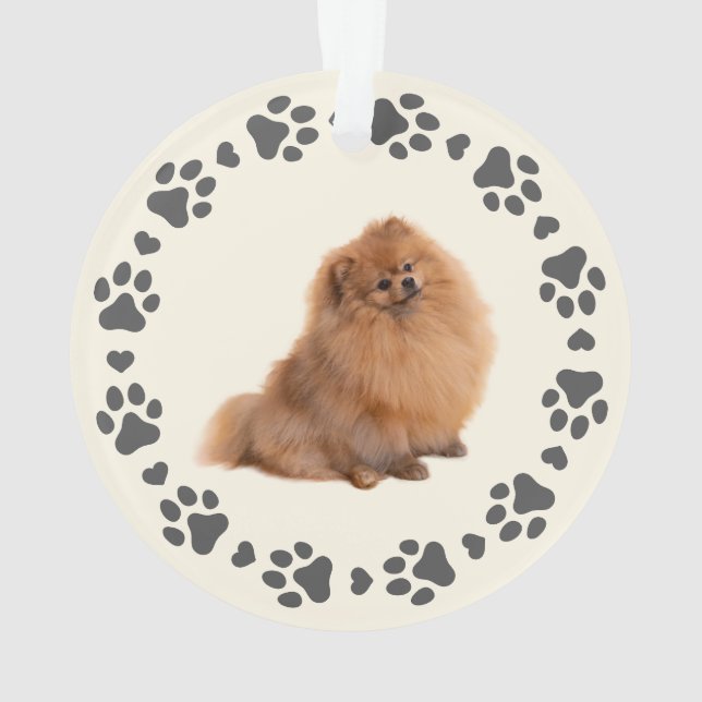 Paw Prints Frame Custom Pet Photo  Ornament (Back)