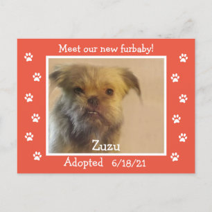 Paw Prints Frame Pet Adoption Save the Date Postcard
