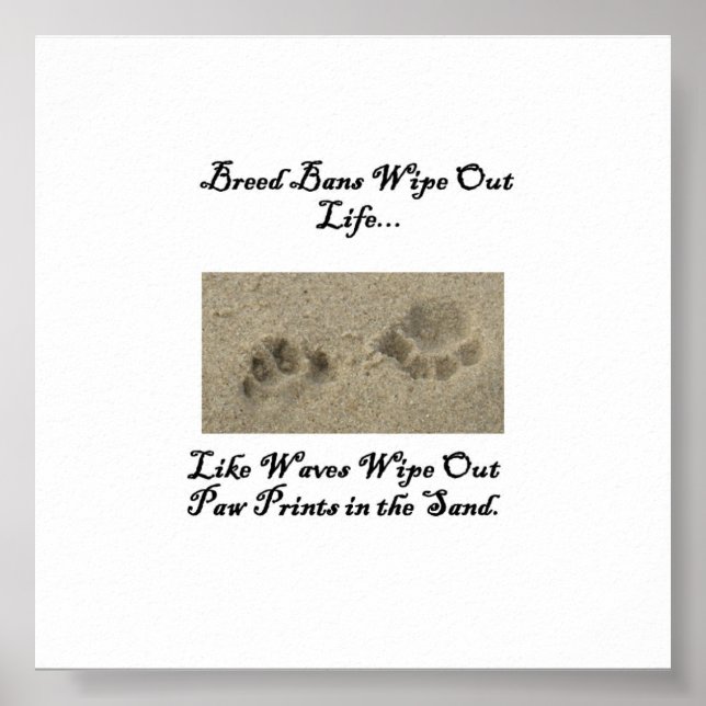 Paw Prints in the Sand (Front)