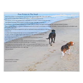 Paw Prints in The Sand 14" x 11" Print