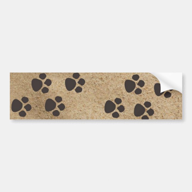 Paw Prints in the Sand Bumper Sticker (Front)
