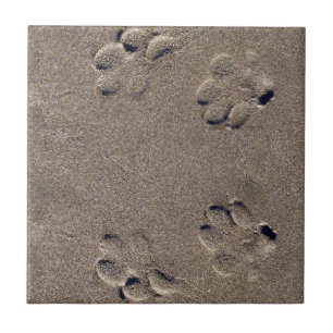 Paw Prints in the Sand Dog Pet Tile
