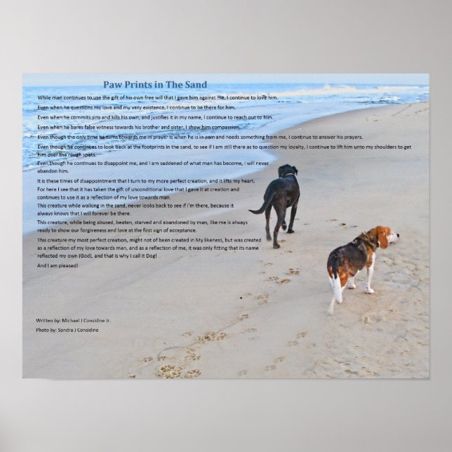 Paw Prints in The Sand Poster (Front)