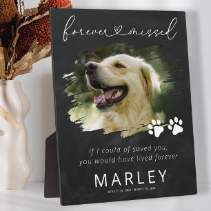 Paw Prints Keepsake Pet Memorial Photo Plaque