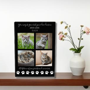 Paw Prints & Memories-Custom Memorial for A Cat Photo Block