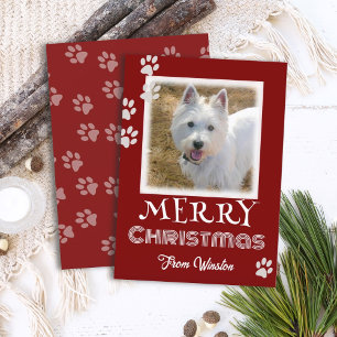 Paw Prints Merry Christmas Dog Photo Cards