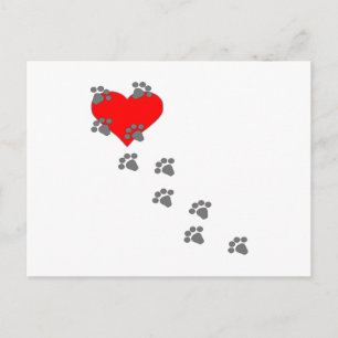 Paw Prints On Heart Postcard