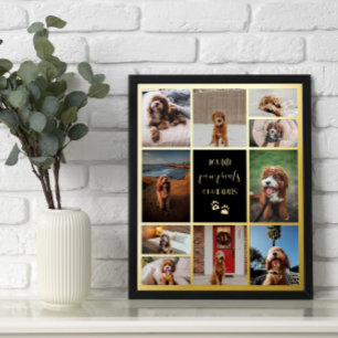 Paw Prints On Our Hearts Pet Memorial Collage