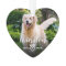 Paw Prints On Our Hearts Pet Photo Memorial