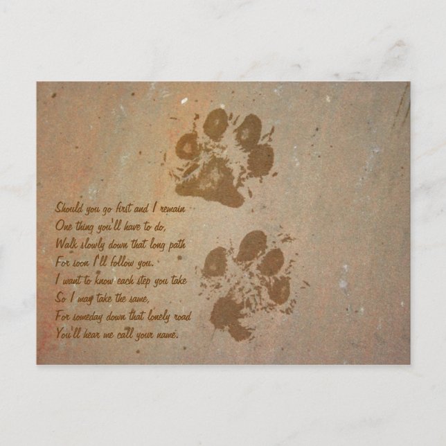 Paw Prints on Stone Postcard (Front)
