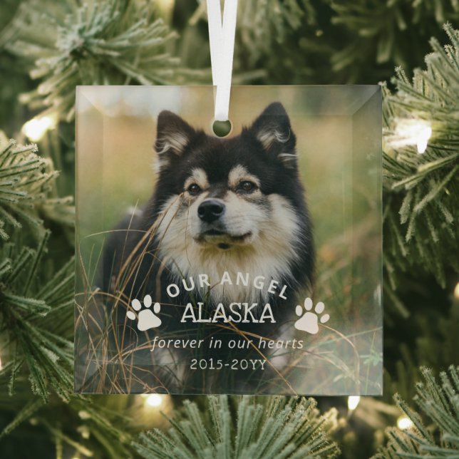 Paw Prints Our Angel Photo Pet Memorial Glass Tree Decoration (Insitu)