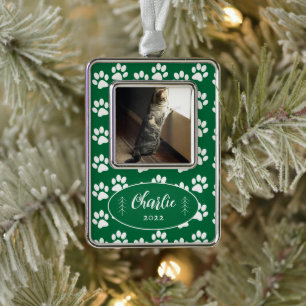 Paw Prints Pattern Cat Photo Green Framed Ornament