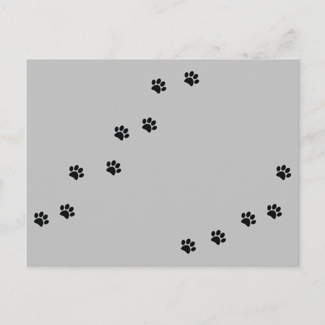 Paw Prints Postcard (Front)