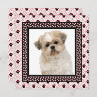 Paw-ty Dog Birthday Party or Doggie Get Together