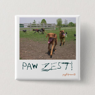 Paw zest! 15 cm square badge