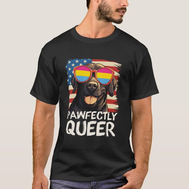 Pawfectrly Queer Labrador Panual Flag Sunglasses T-Shirt (Front)