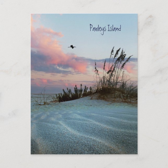 Pawleys Island Dune Sunset Postcard (Front)