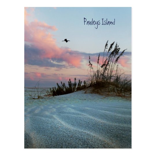 Pawleys Island Dune Sunset Postcard