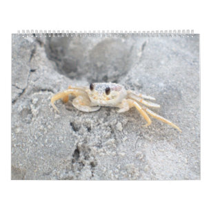 Pawleys Island Large Wall Calendar Design 2