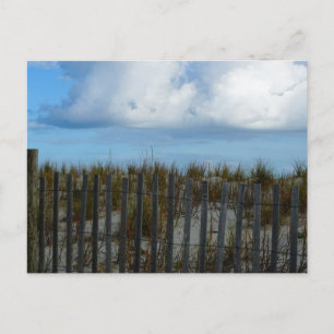 Pawley's Island, South Carolina Postcard