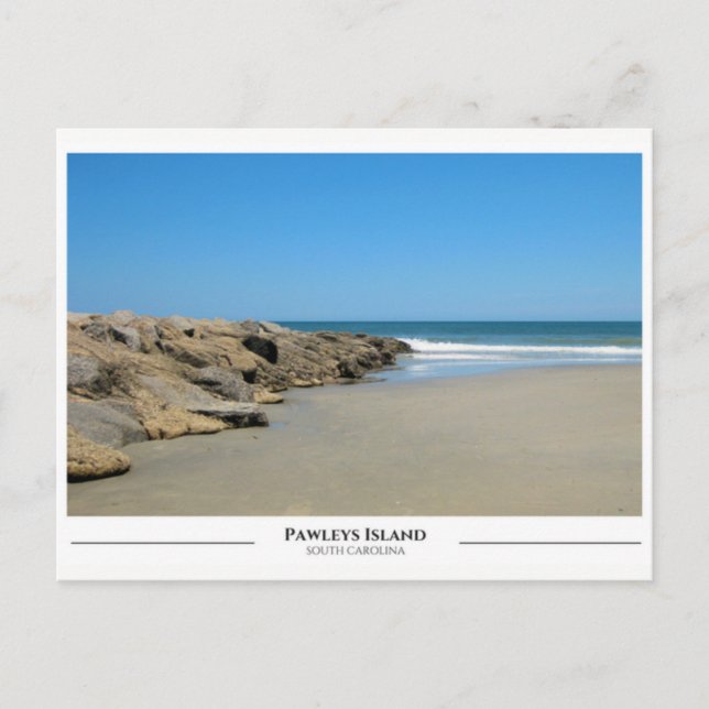 Pawleys Island- South Carolina Postcard (Front)