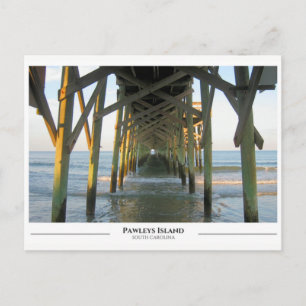 Pawleys Island- South Carolina Postcard