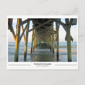 Pawleys Island- South Carolina Postcard