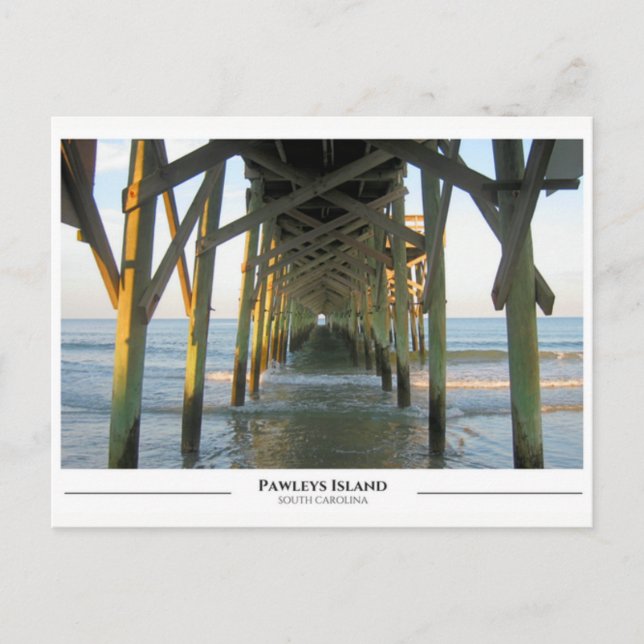 Pawleys Island- South Carolina Postcard (Front)