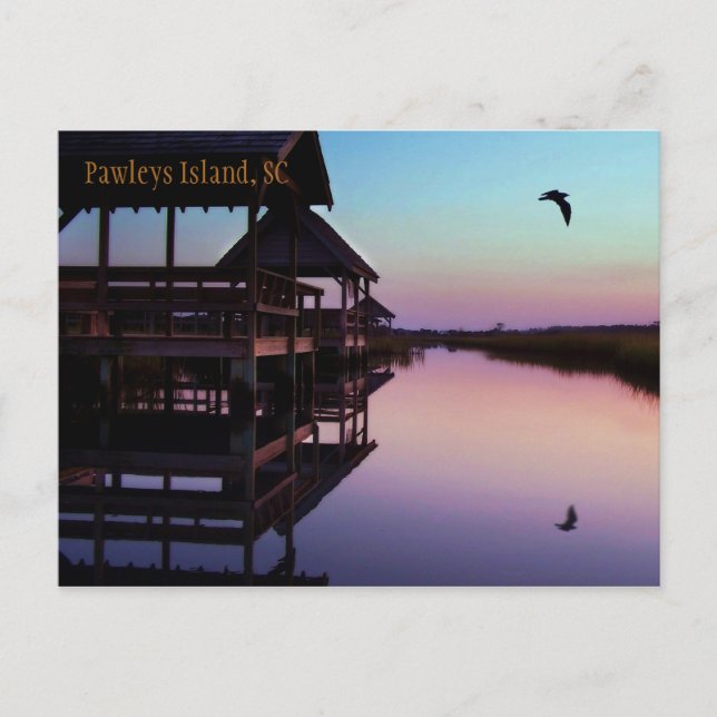Pawleys Island Souvenir Postcard (Front)