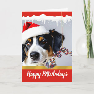 Pawlodays Christmas Dog in the Snow Holiday Card