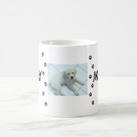 Pawprint Companion Photo Name Nickname Design