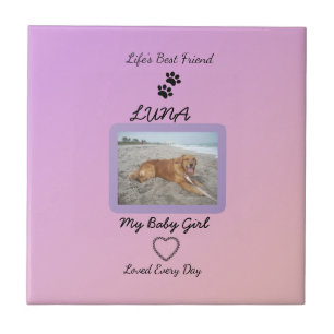 Pawprint Heart Everyday Pet Tile