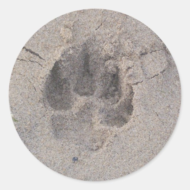 Pawprint Sticker (Front)