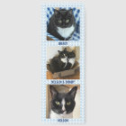 Pawprints and Pets Custom Names