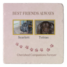 Pawprints of Friendship