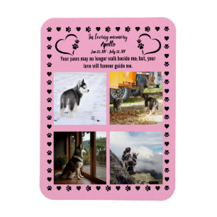 Pawprints of Love Photo Magnet