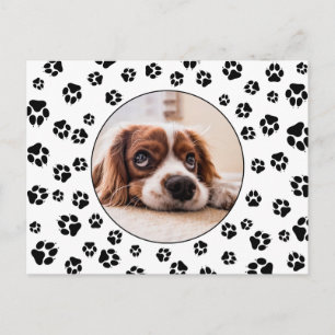 Pawprints Puppy Photo Postcard