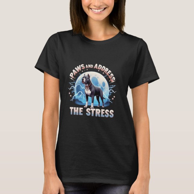 Paws And Address The Stress Anti Stress Therapy Pi T-Shirt (Front)