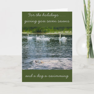 Paws and Feathers Holiday Card