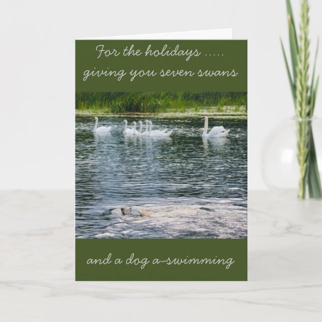 Paws and Feathers Holiday Card (Front)