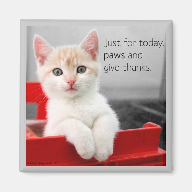 Paws and give thanks magnet (Front)