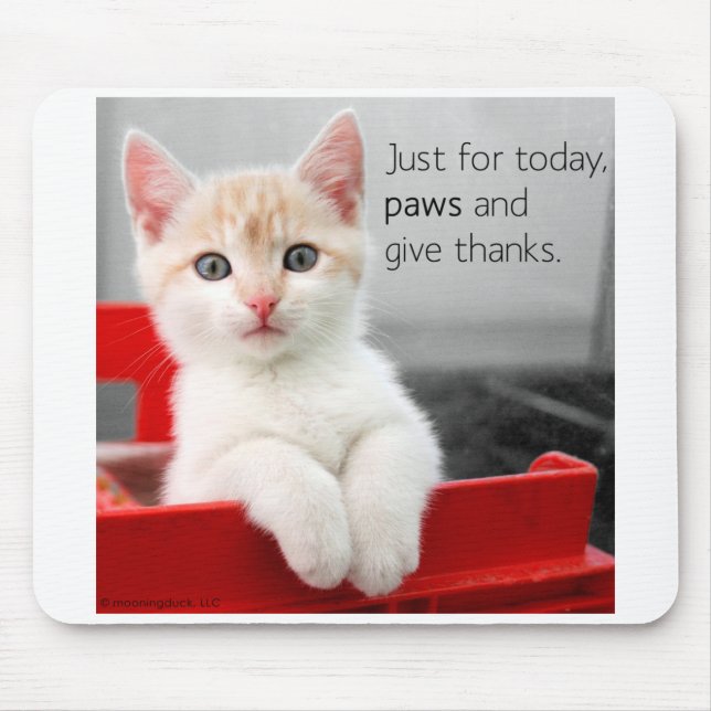 Paws and give thanks mousepad (Front)