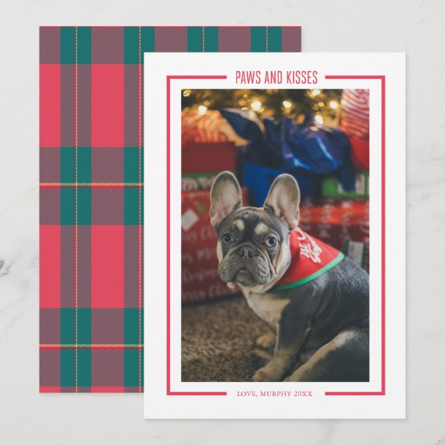 Paws and Kisses Funny Pet Photo Holiday Card (Front/Back)