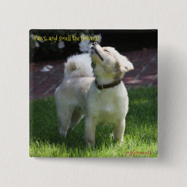 Paws, and smell the flowers 15 cm square badge (Front)