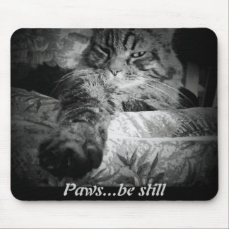 Paws...be still. Funny Cat Mouse Mat