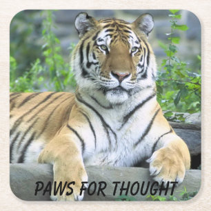 Paws for Thought Tiger Square Paper Coaster