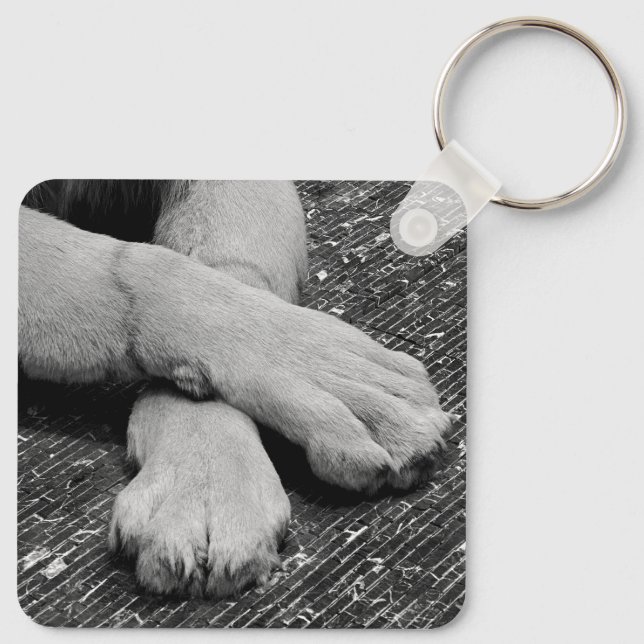 Paws Key Ring (Back)