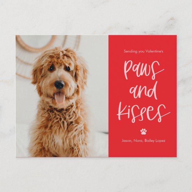 Paws Kisses Pets Valentine's Day Postcard (Front)