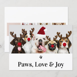 Paws Love and Joy Dog Christmas 5 Photo Card