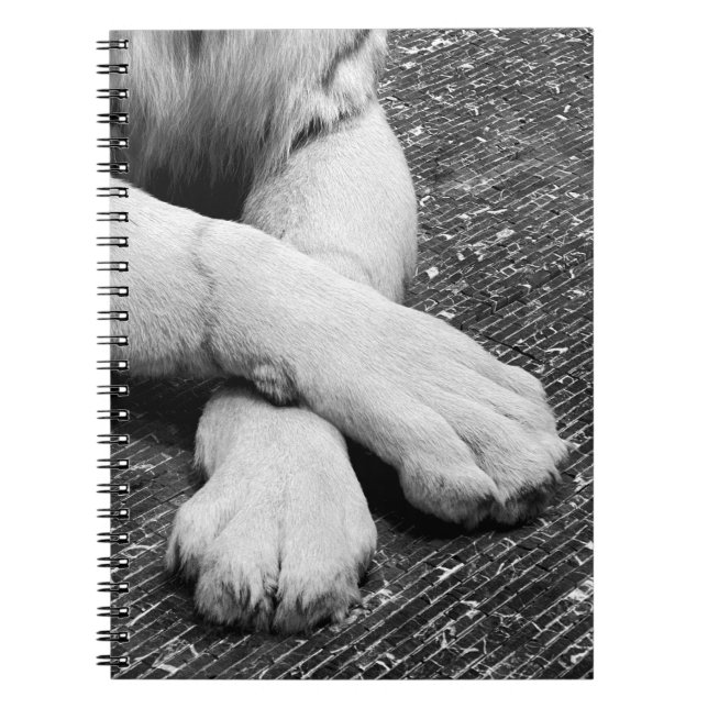Paws Notebook (Front)